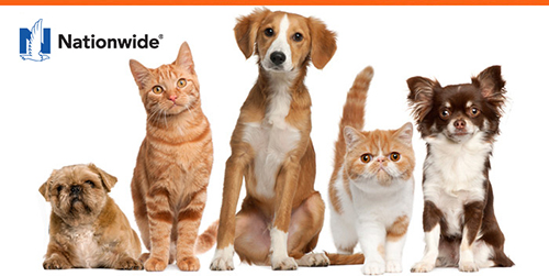 Nationwide Pet Insurance Coverage for Dogs and Cats